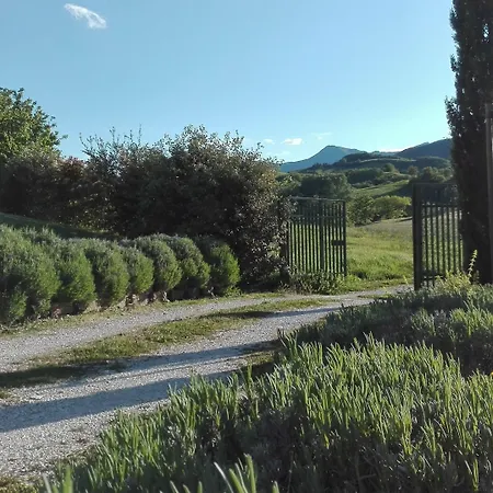 Hillside With Swimming Pool And Jacuzzi - Frasassi Caves * Sassoferrato