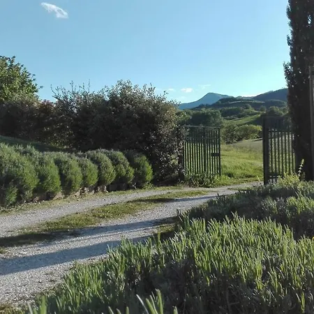 Hillside With Swimming Pool And Jacuzzi - Frasassi Caves Villa